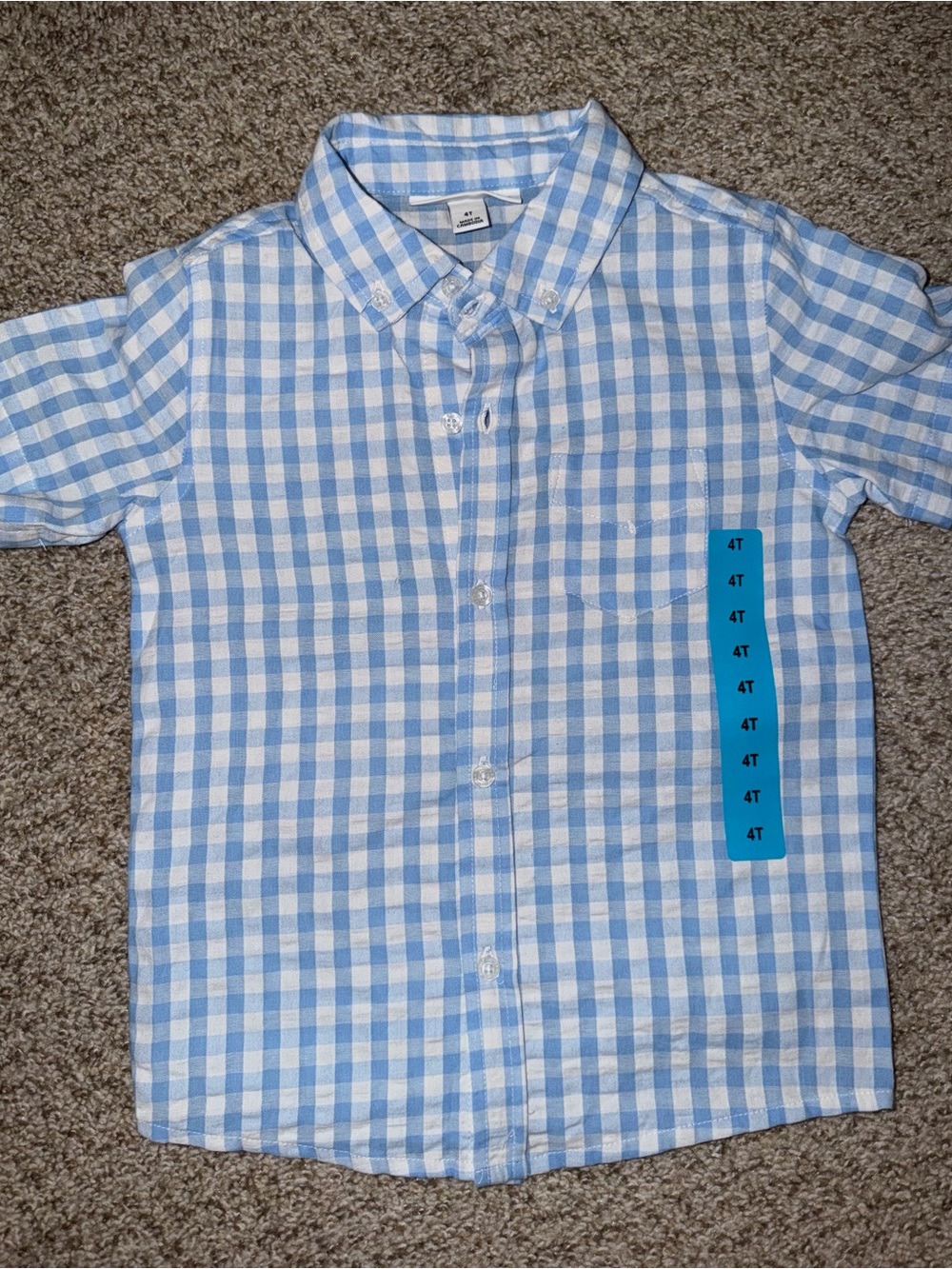 Blue & White Gingham Button-Down Shirt for Kids